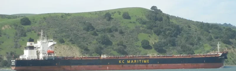 THE STRONG Bulk Carrier IMO 9287455 photo 7