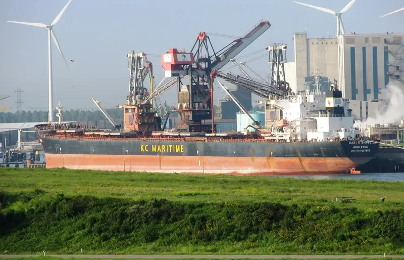 THE STRONG Bulk Carrier IMO 9287455 photo 10