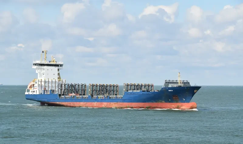 FESCO MAGADAN Container Ship IMO 9287699 photo 2