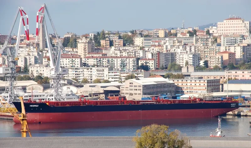 MEGREZ General Cargo IMO 9287730 photo 3