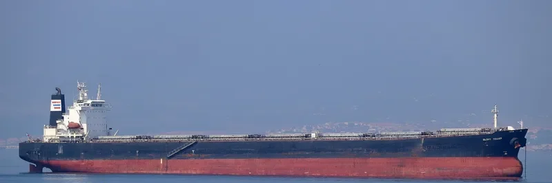 GLORY TRADER Bulk Carrier IMO 9287778 photo 3