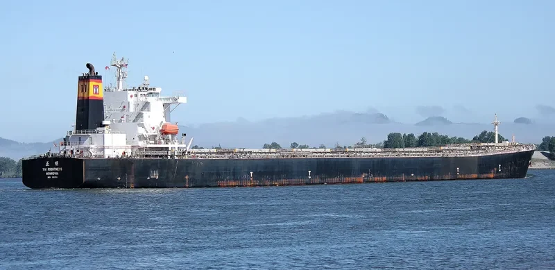 CHAILEASE BLOSSOM Bulk Carrier IMO 9287780 photo 2