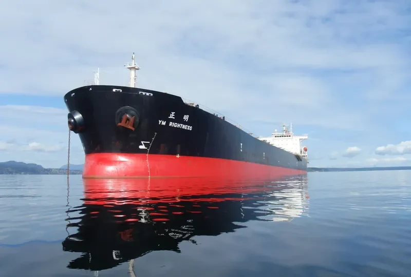 CHAILEASE BLOSSOM Bulk Carrier IMO 9287780 photo 3