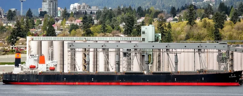 CHAILEASE BLOSSOM Bulk Carrier IMO 9287780 photo 4