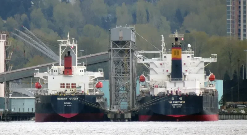 CHAILEASE BLOSSOM Bulk Carrier IMO 9287780 photo 5