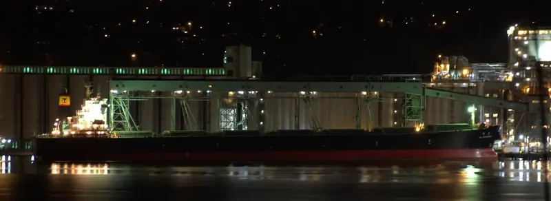 CHAILEASE BLOSSOM Bulk Carrier IMO 9287780 photo 7