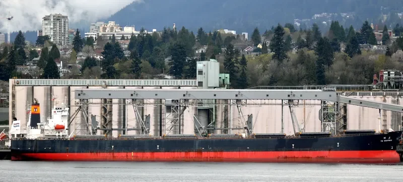CHAILEASE BLOSSOM Bulk Carrier IMO 9287780 photo 8