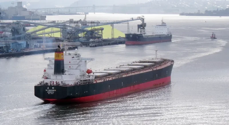 CHAILEASE BLOSSOM Bulk Carrier IMO 9287780 photo 9
