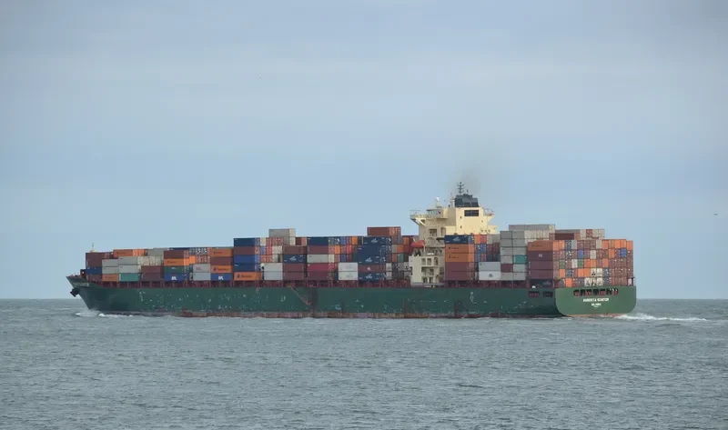 MSC MARIA CLARA Container Ship IMO 9287900