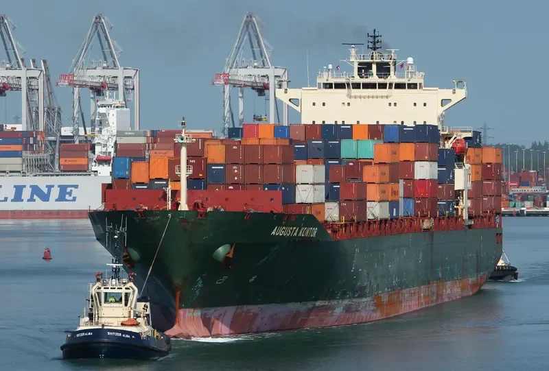 MSC MARIA CLARA Container Ship IMO 9287900 photo 4