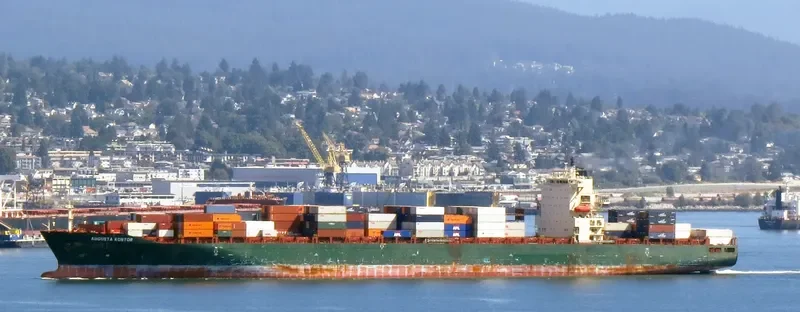MSC MARIA CLARA Container Ship IMO 9287900 photo 7