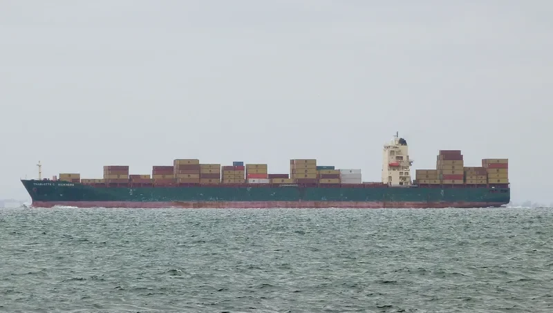 MSC MARIA CLARA Container Ship IMO 9287900 photo 8