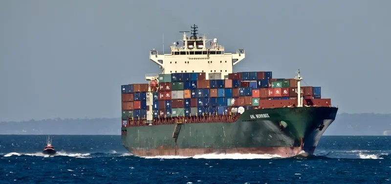 MSC VERACRUZ Container Ship IMO 9287924 photo 5