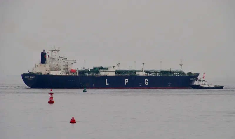 SUNNY BRIGHT General Cargo IMO 9287948 photo 8