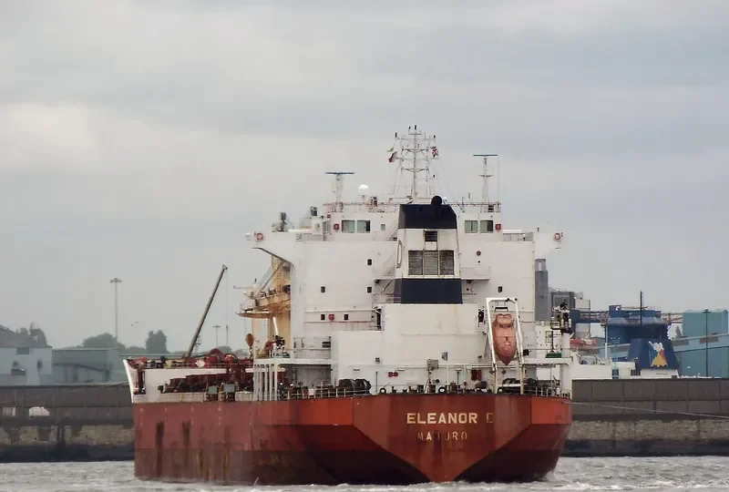 JIN MING 69 Bulk Carrier IMO 9287974 photo 3