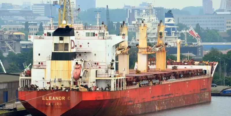 JIN MING 69 Bulk Carrier IMO 9287974 photo 7
