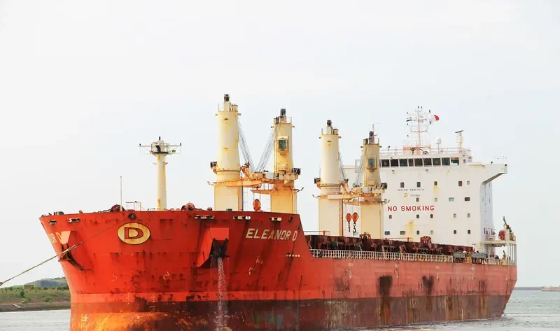 JIN MING 69 Bulk Carrier IMO 9287974 photo 10