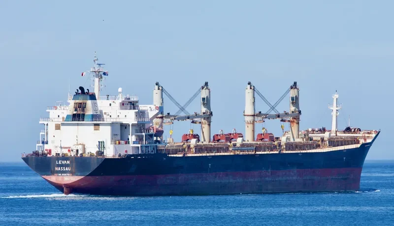 HONG LONG ZHI XING Bulk Carrier IMO 9287986