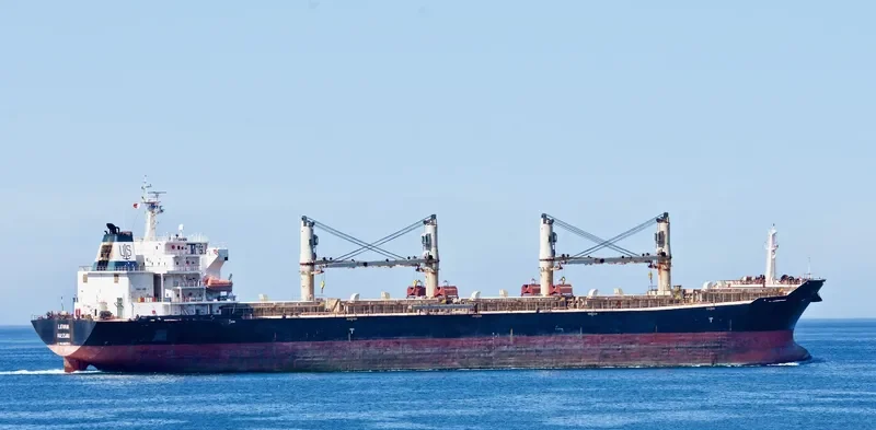 HONG LONG ZHI XING Bulk Carrier IMO 9287986 photo 2