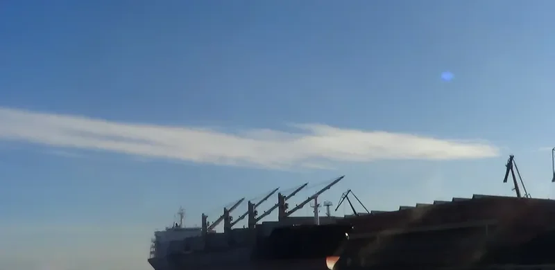HONG LONG ZHI XING Bulk Carrier IMO 9287986 photo 6