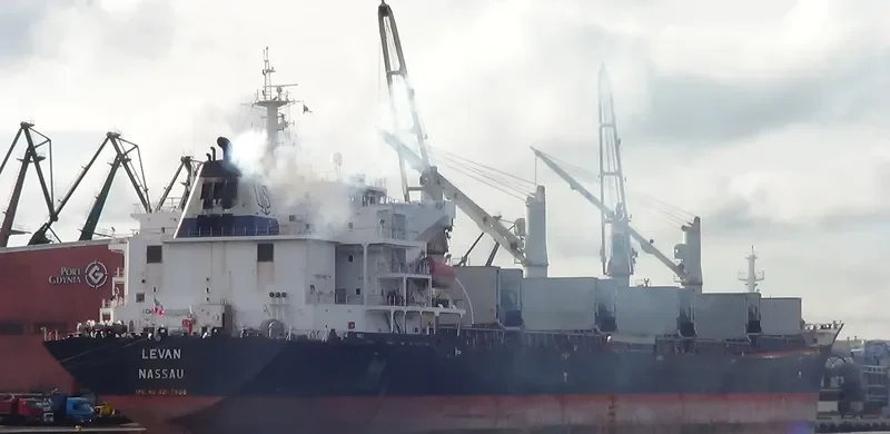 HONG LONG ZHI XING Bulk Carrier IMO 9287986 photo 9