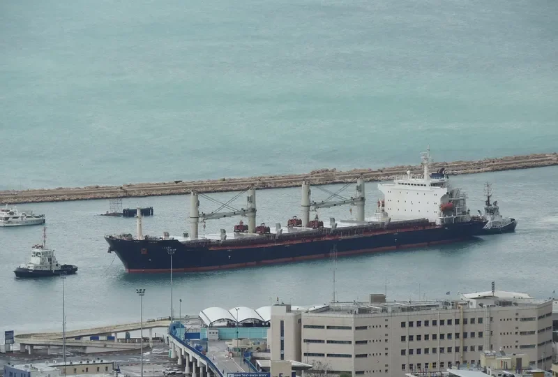 HONG LONG ZHI XING Bulk Carrier IMO 9287986 photo 10