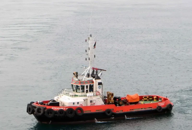 NYANGUMI II General Cargo IMO 9288124 photo 2