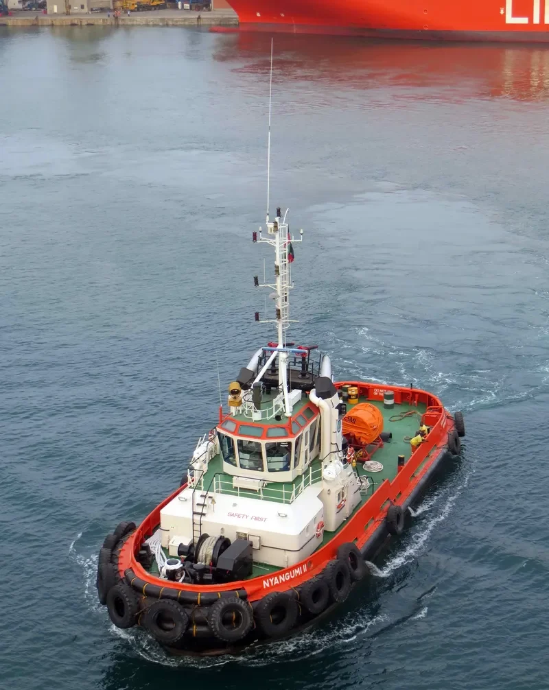 NYANGUMI II General Cargo IMO 9288124 photo 3