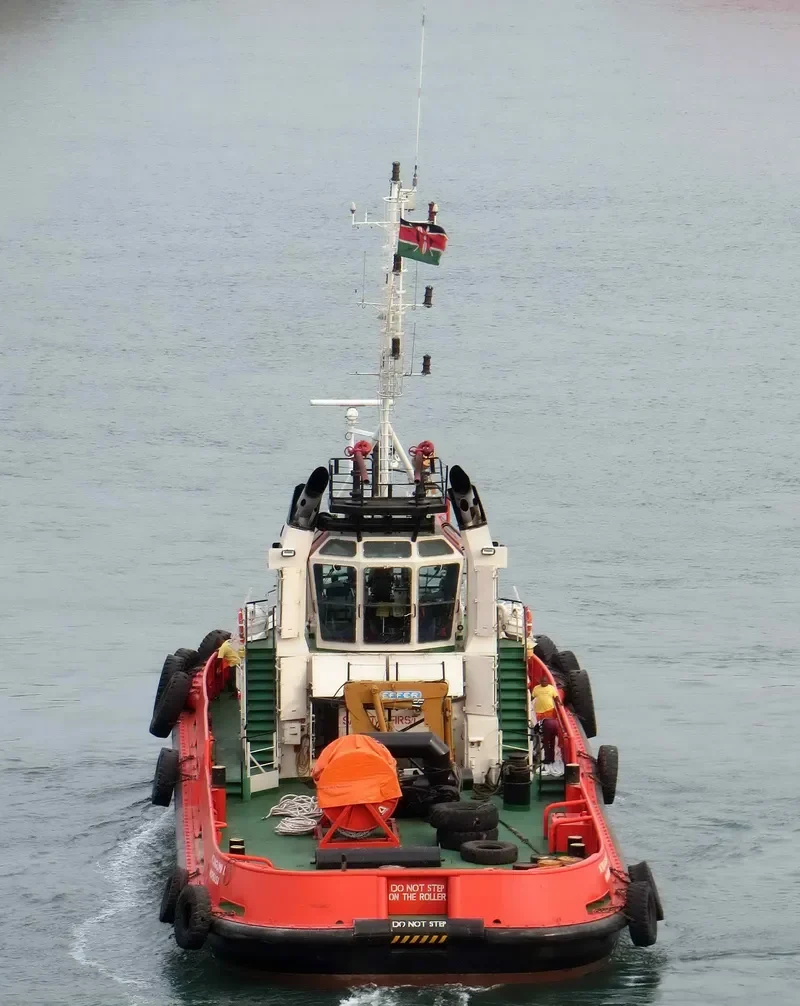 NYANGUMI II General Cargo IMO 9288124 photo 6