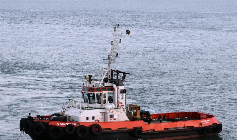 NYANGUMI II General Cargo IMO 9288124 photo 8