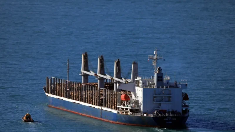 AC SPLENDOR Bulk Carrier IMO 9288239 photo 2