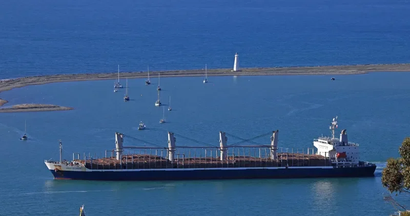 AC SPLENDOR Bulk Carrier IMO 9288239 photo 4