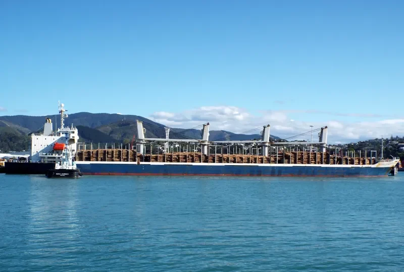 AC SPLENDOR Bulk Carrier IMO 9288239 photo 10