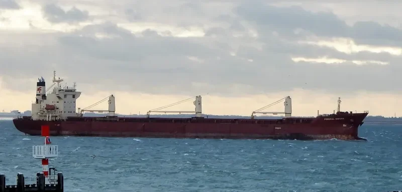 FEDERAL SAKURA Bulk Carrier IMO 9288291 photo 2