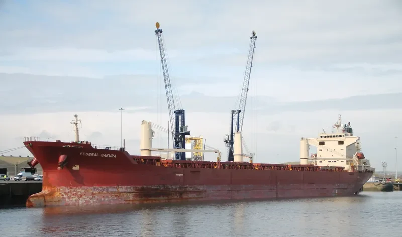 FEDERAL SAKURA Bulk Carrier IMO 9288291 photo 3