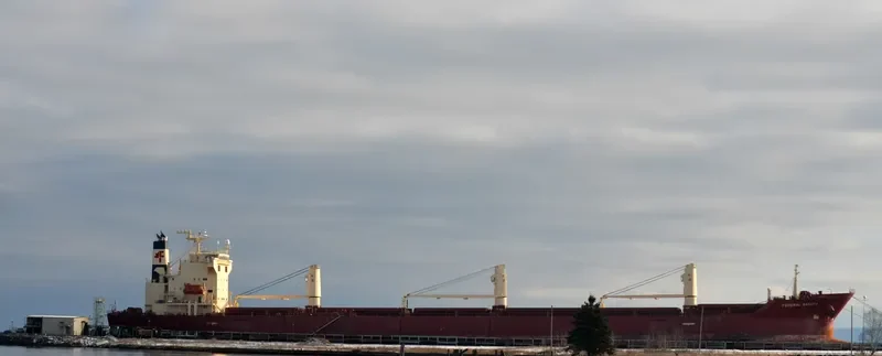 FEDERAL SAKURA Bulk Carrier IMO 9288291 photo 5