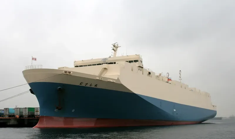 MUSASHI MARU General Cargo IMO 9288318 photo 9