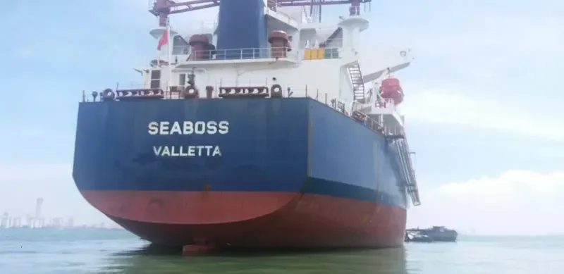 SEABOSS Bulk Carrier IMO 9288332