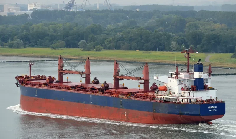 SEABOSS Bulk Carrier IMO 9288332 photo 4