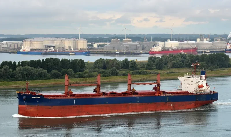 SEABOSS Bulk Carrier IMO 9288332 photo 5