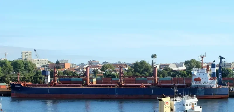 SEABOSS Bulk Carrier IMO 9288332 photo 7