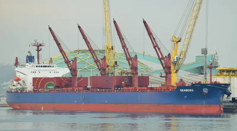 SEABOSS Bulk Carrier IMO 9288332 photo 8