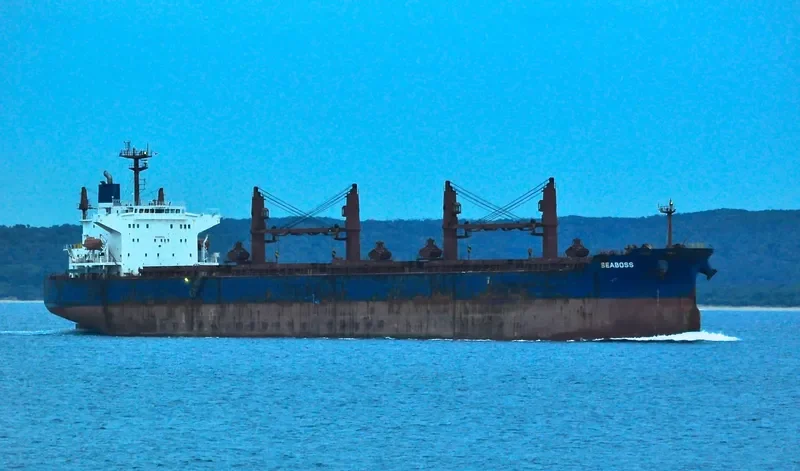 SEABOSS Bulk Carrier IMO 9288332 photo 9