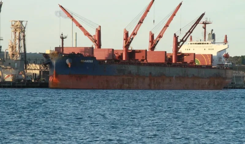 SEABOSS Bulk Carrier IMO 9288332 photo 10