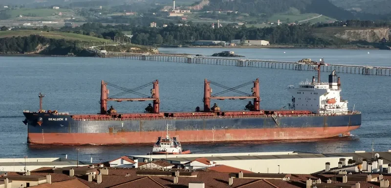 SEALUCK II Bulk Carrier IMO 9288344 photo 2