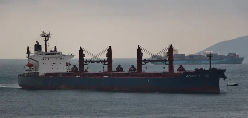 SEALUCK II Bulk Carrier IMO 9288344 photo 6