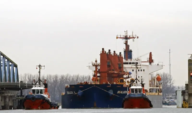 SEALUCK II Bulk Carrier IMO 9288344 photo 7