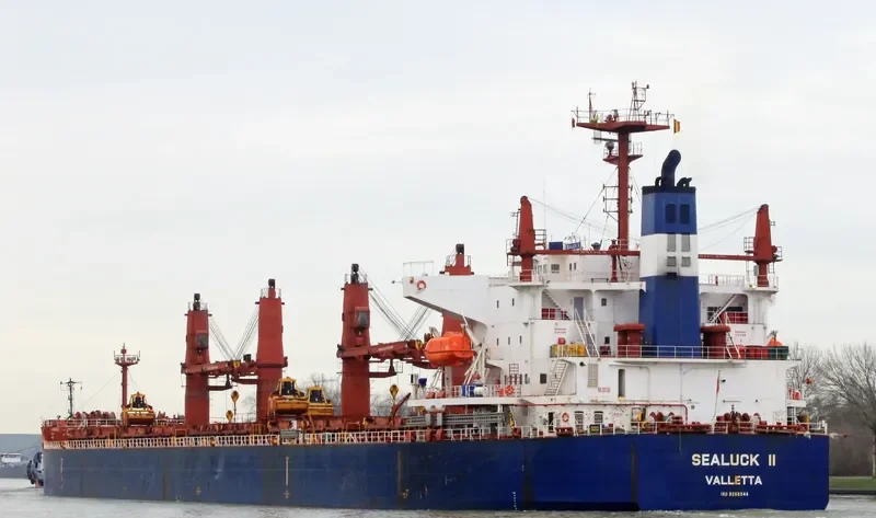 SEALUCK II Bulk Carrier IMO 9288344 photo 10