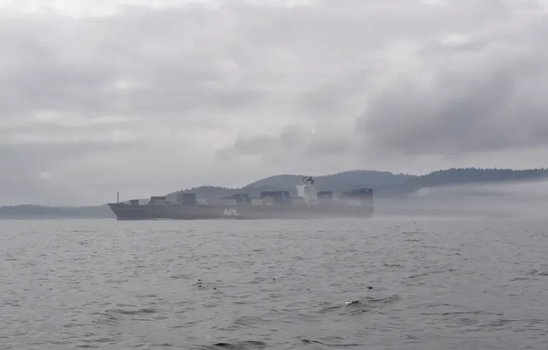 PL GERMANY Container Ship IMO 9288394 photo 8