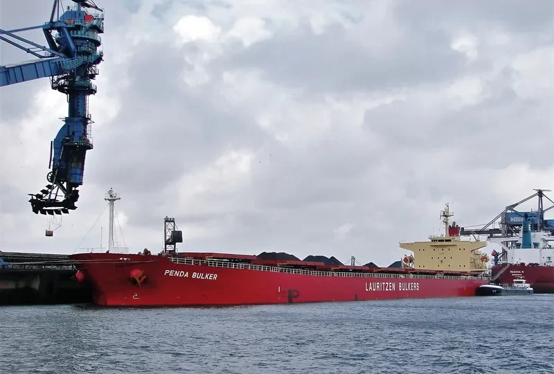 APJ KABIR ANAND Bulk Carrier IMO 9288411
